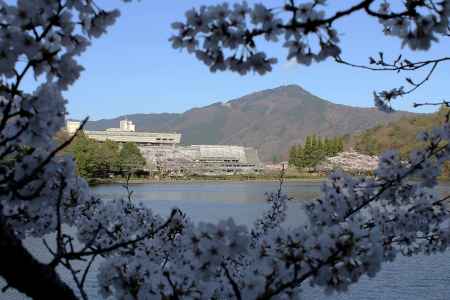 桜の向こうに比叡山