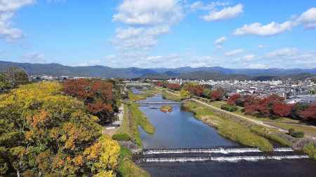 加茂川の紅葉