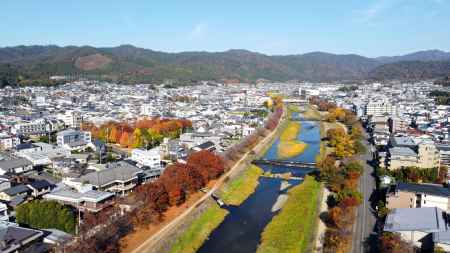 加茂川の紅葉