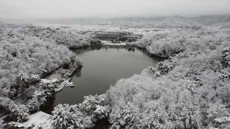 宝が池に雪が降る