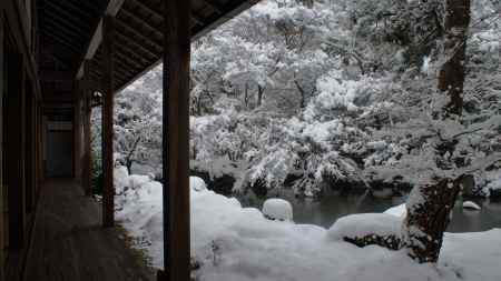 雪の蓮華寺庭園