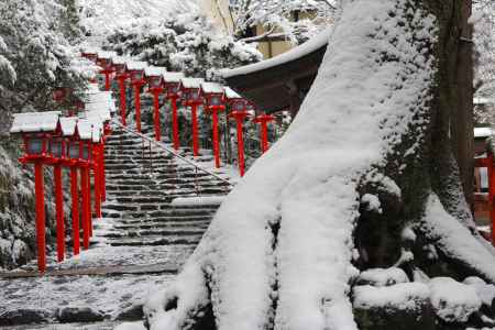 雪に被われた貴船神社老木