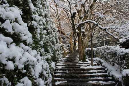 雪の寂光院参道