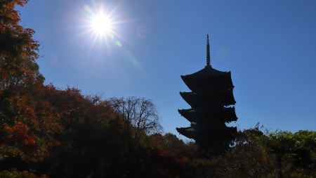 東寺　国宝･五重塔