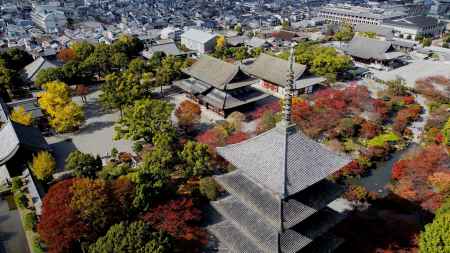 紅葉に包まれた東寺