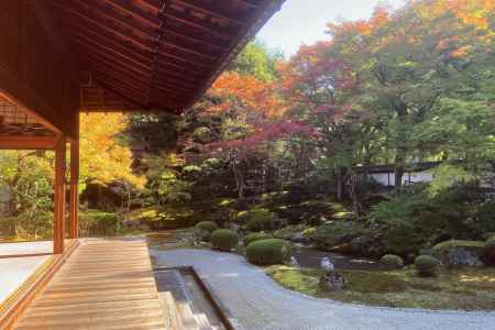 泉涌寺　御座所庭園