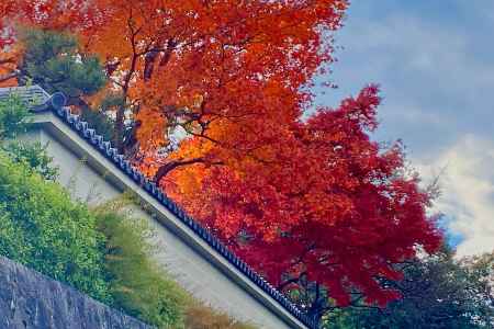 三緑寺の紅葉