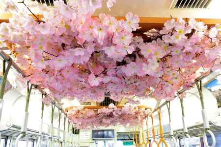 らんでん　桜電車　車内