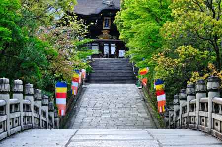 円通橋   花は葉に