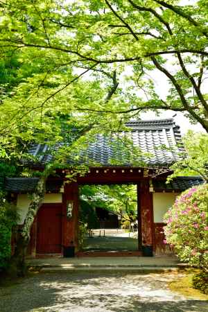 初夏の吉野門