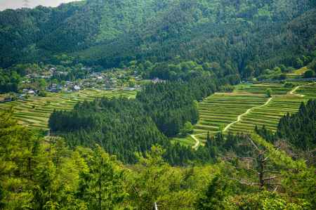 万燈山からの眺望