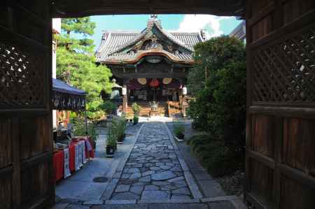 革堂行願寺　藤袴