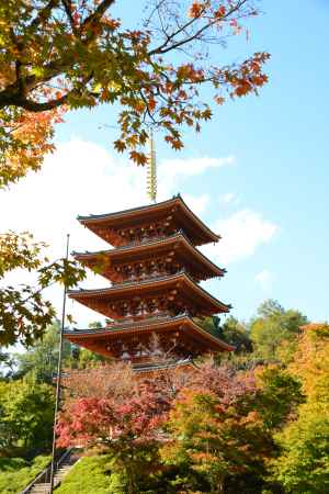 成相山成相寺　秋