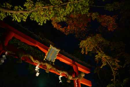 大原野神社　ライトアップ