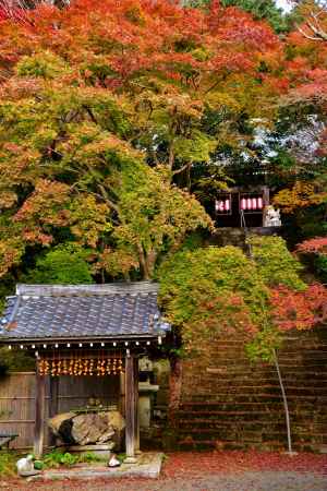 金蔵寺の秋