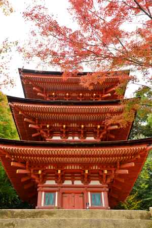 浄瑠璃寺　三重塔　秋