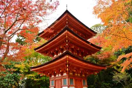 浄瑠璃寺　三重塔　紅葉