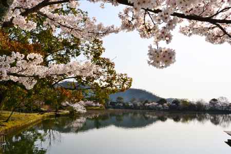 春の朝活