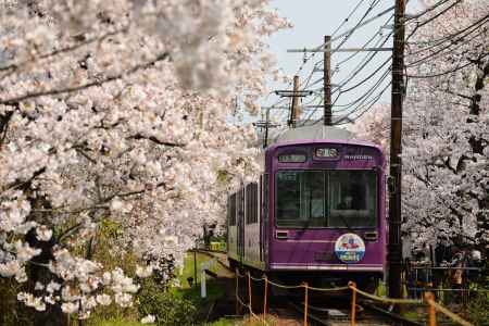 桜トンネル通過します