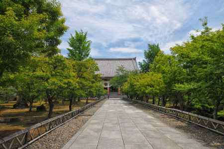 智積院　水無月の参道