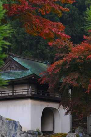 山門の秋
