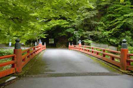 新緑の高雄橋