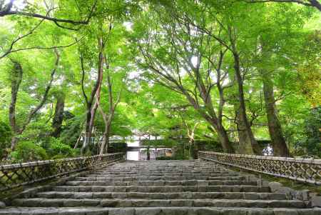 ６月の石段