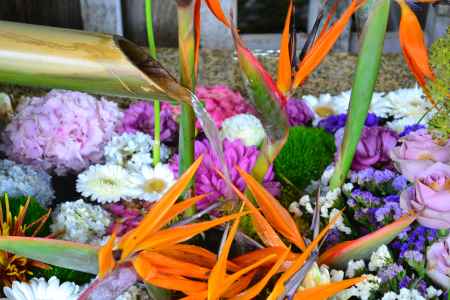 天神さんの花手水　極楽鳥花