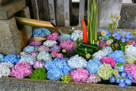 天神さん花手水　紫陽花