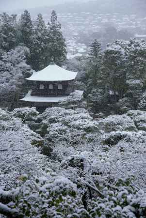 京の雪景　銀花　6-2