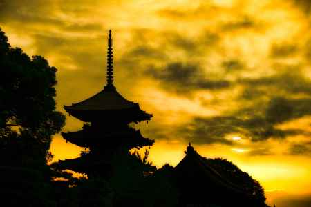 東寺に朝が来る