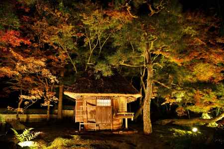 秋の夜に佇む木樽小屋
