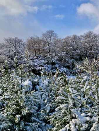 雪の原谷苑
