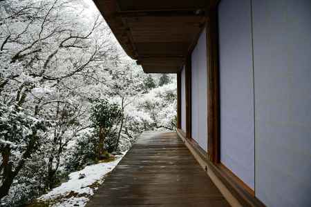 もち雪に濡れて