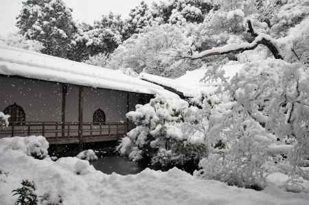 綿雪舞う