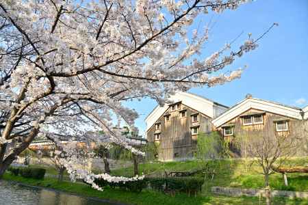 桜と酒蔵