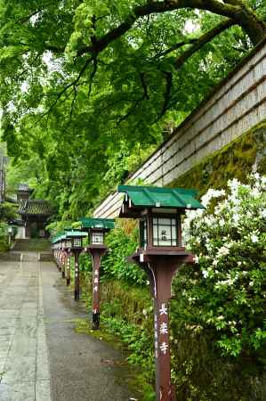 雨の参道