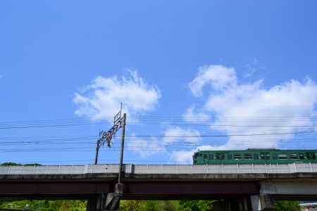 カエル列車　通過します