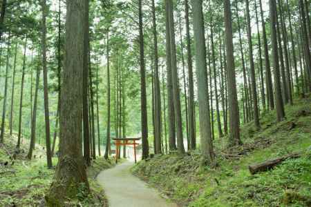 水無月の氷室神社