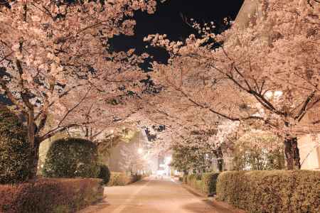 未来を信じ未来に生きる　春