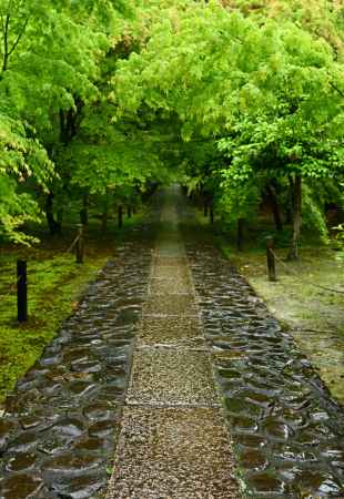 緑雨の石畳