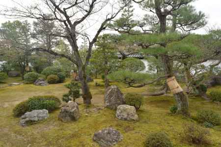 智積院　名勝庭園１