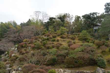 智積院　名勝庭園８