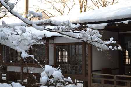 三千院　雪と客殿