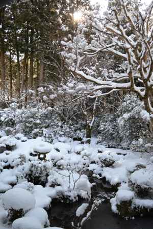 三千院　雪の庭園