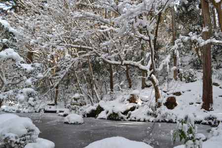 三千院　雪の庭園と池その２