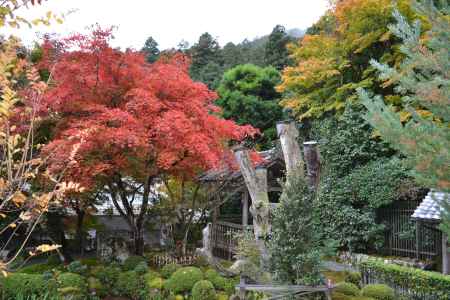 寂光院　秋の庭園