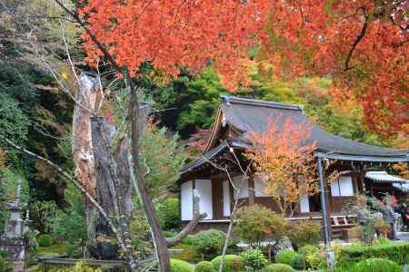 寂光院　紅葉