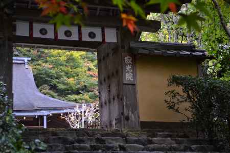 寂光院　初秋の三門