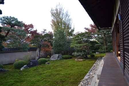 天得院　庭園